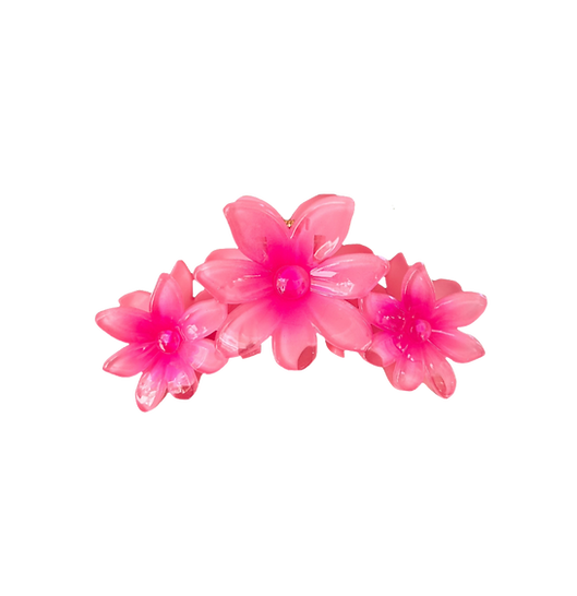 ASTROMELIA