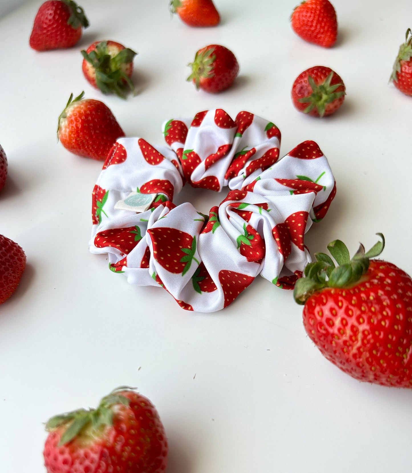 ZIPPER FRAGOLA