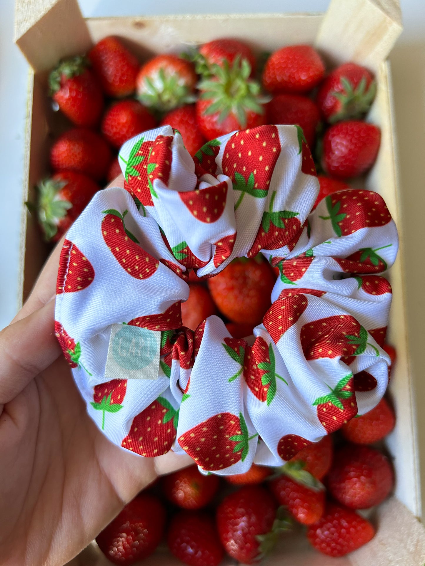 ZIPPER FRAGOLA