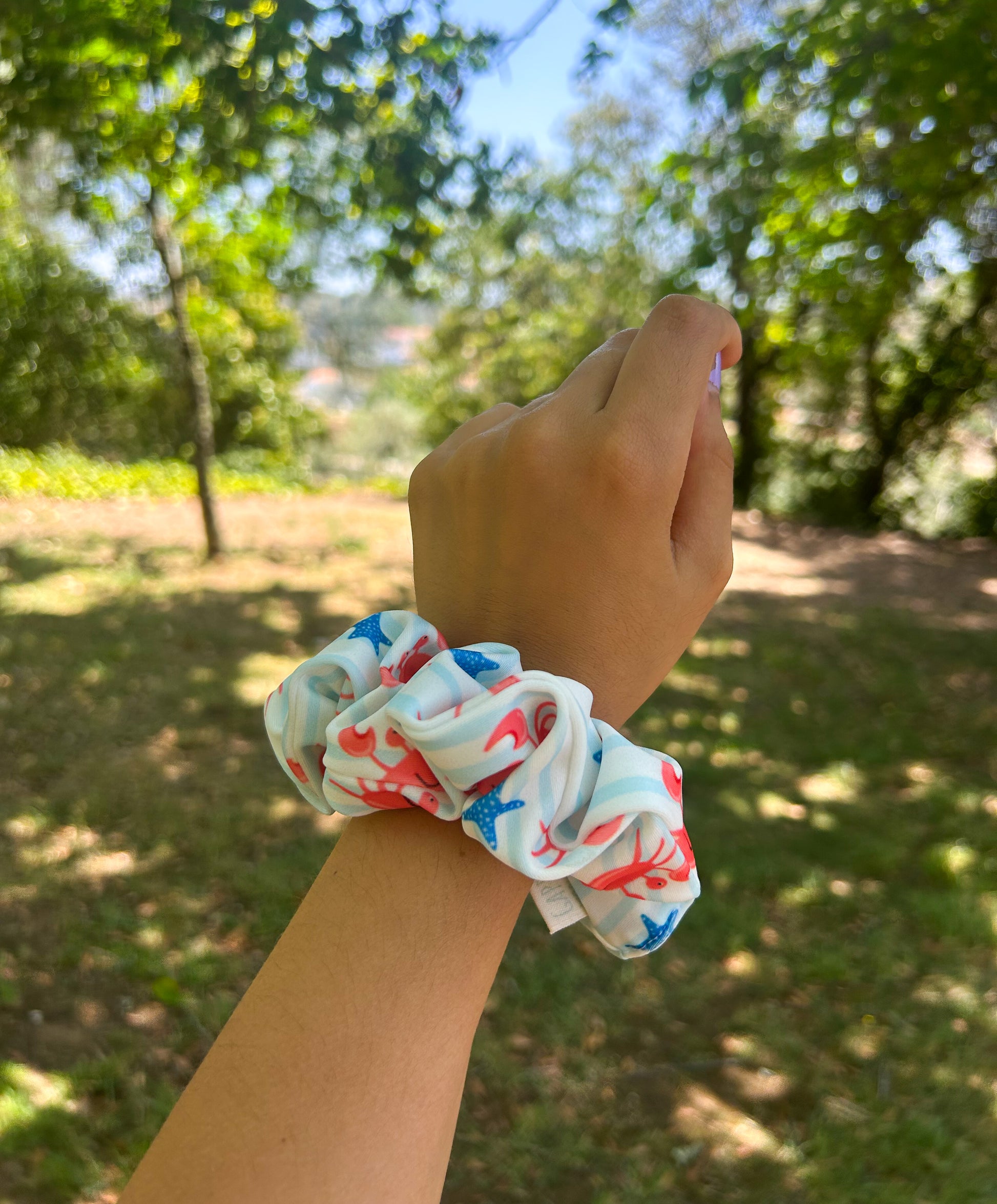 ZIPPER CRAB