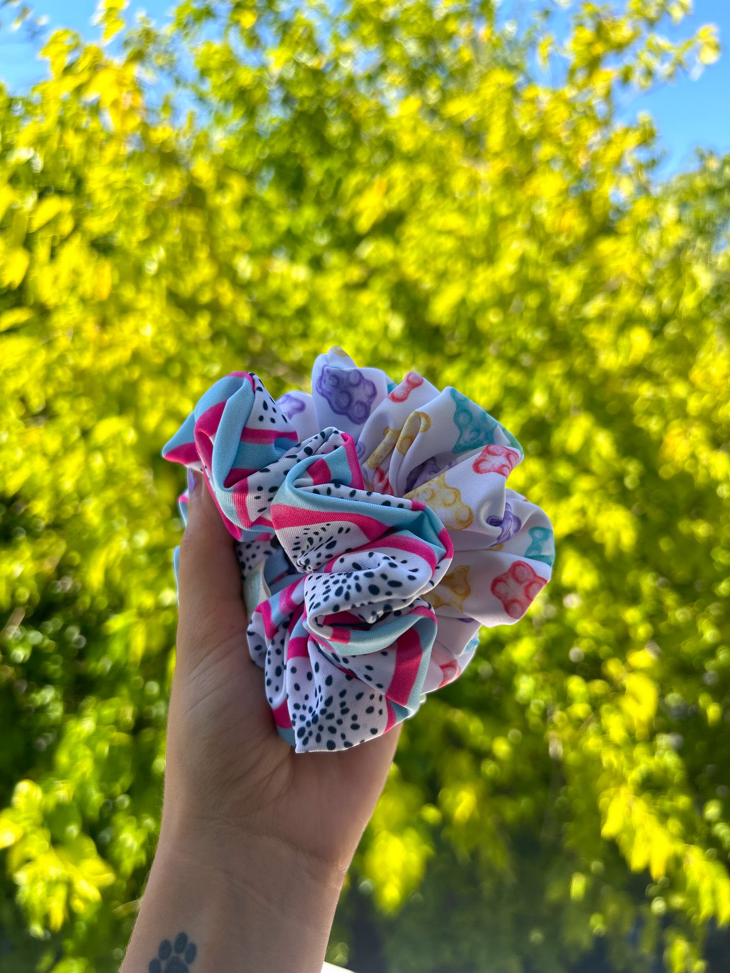 ZIPPER PITAYA