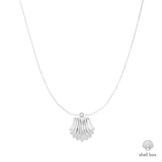 SEASHELL