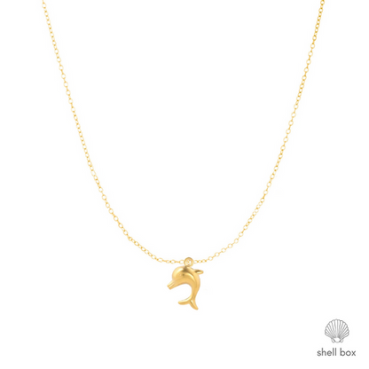 DOLPHIN