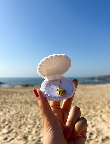 SEASHELL