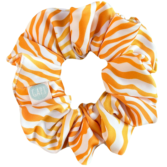 SUNNY ZEBRA