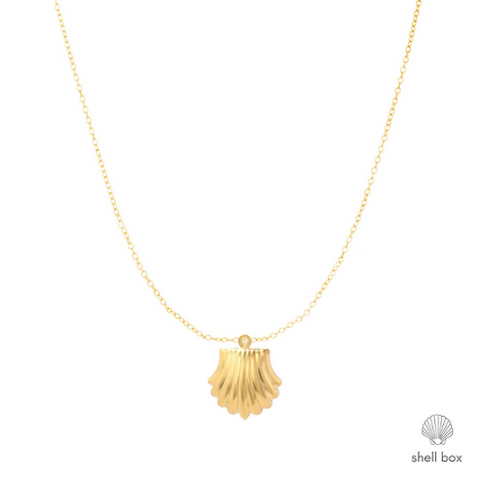 SEASHELL