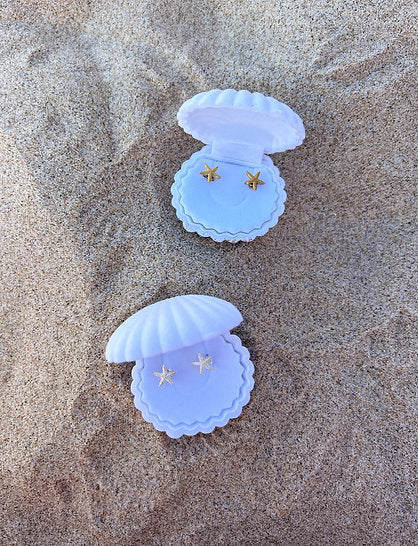 CUTE STARFISH