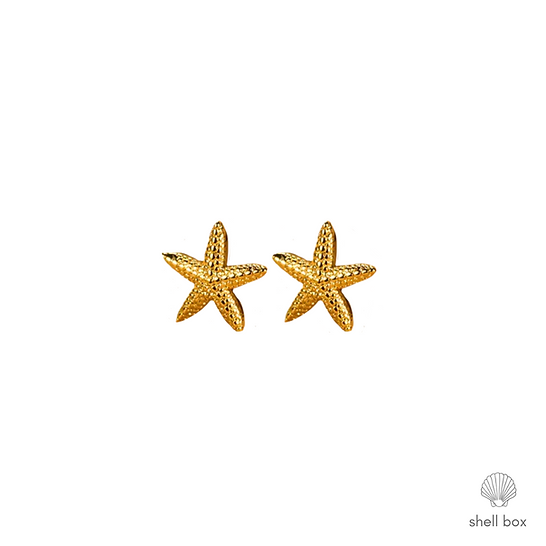 CUTE STARFISH