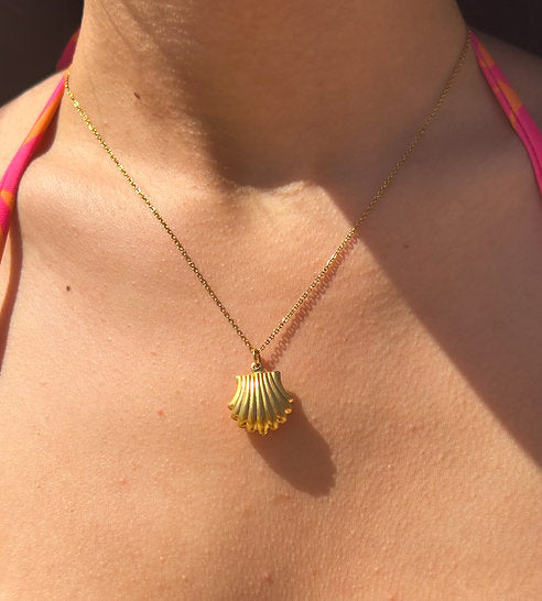 SEASHELL
