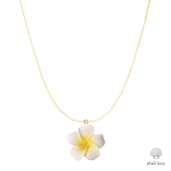 CUTE PLUMERIA