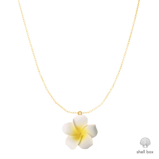CUTE PLUMERIA
