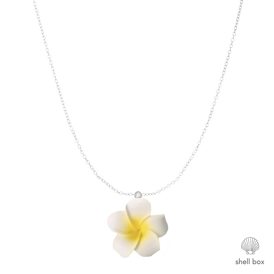 CUTE PLUMERIA