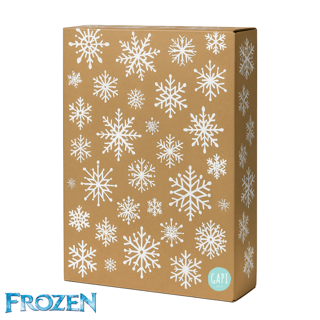 FROZEN GIFT BOX