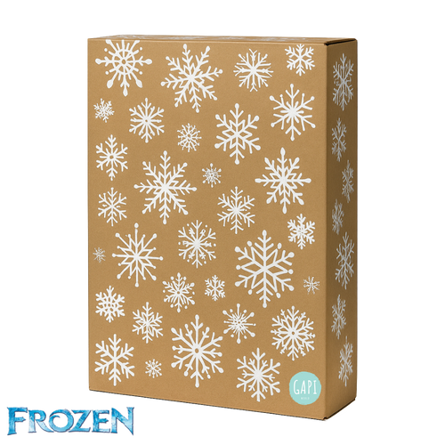 FROZEN GIFT BOX