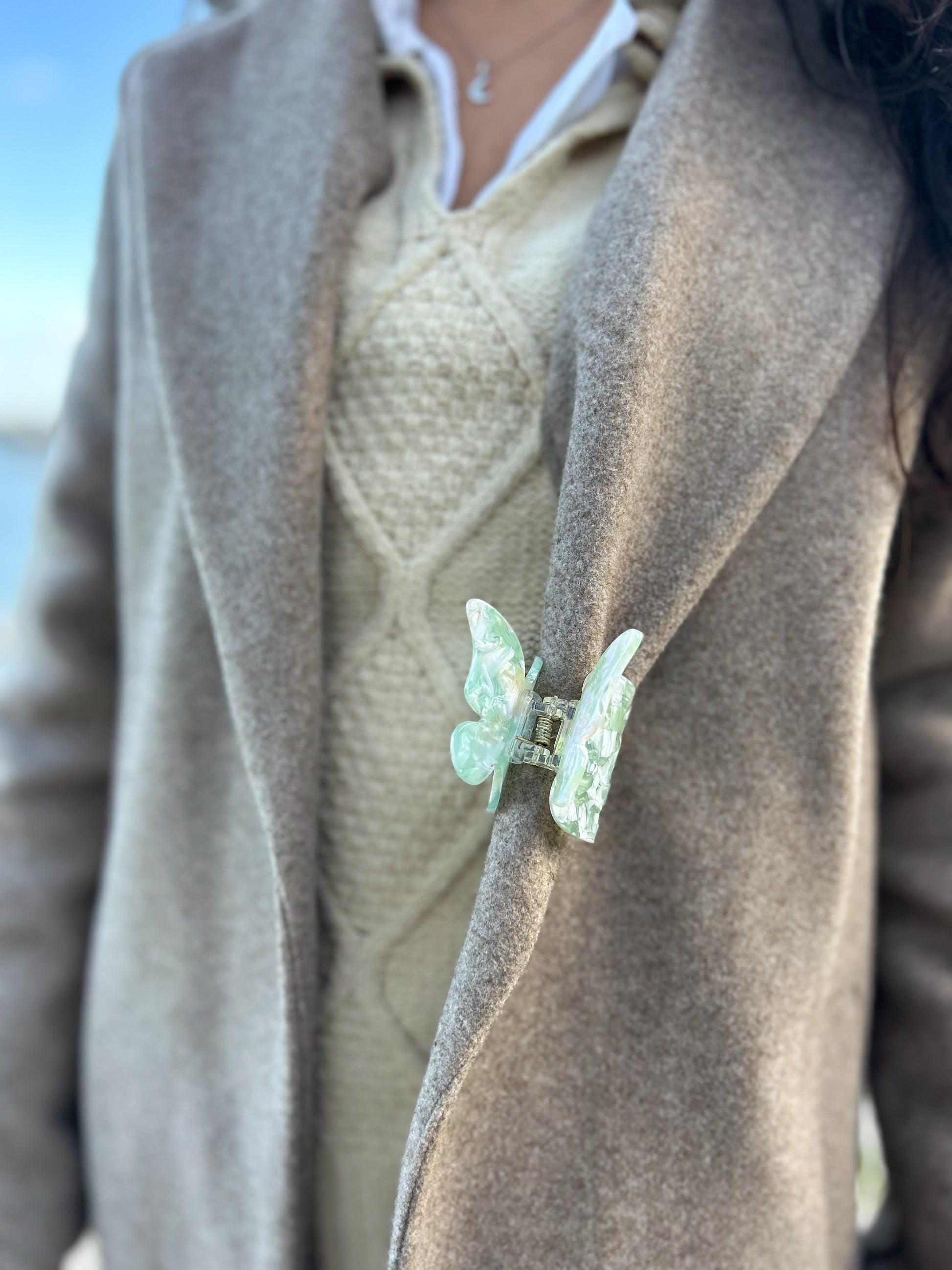 FLY