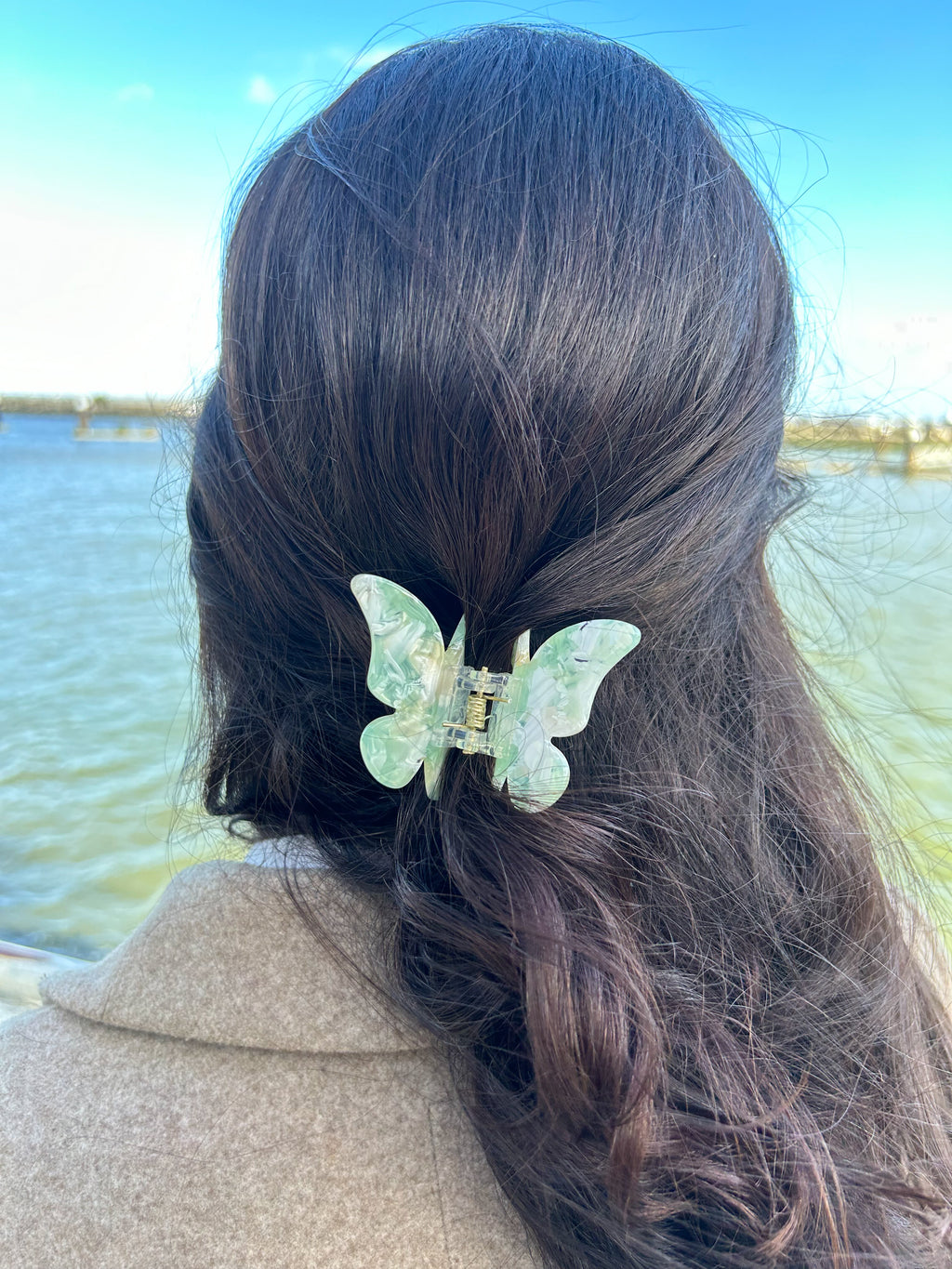 FLY