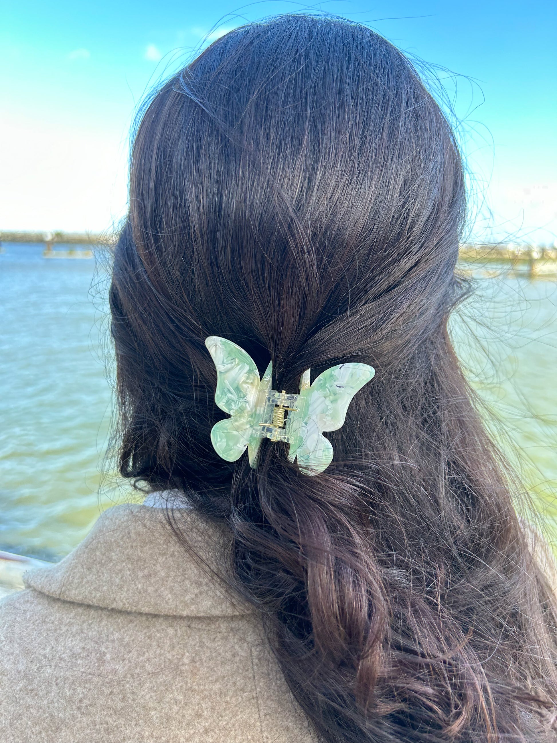 FLY