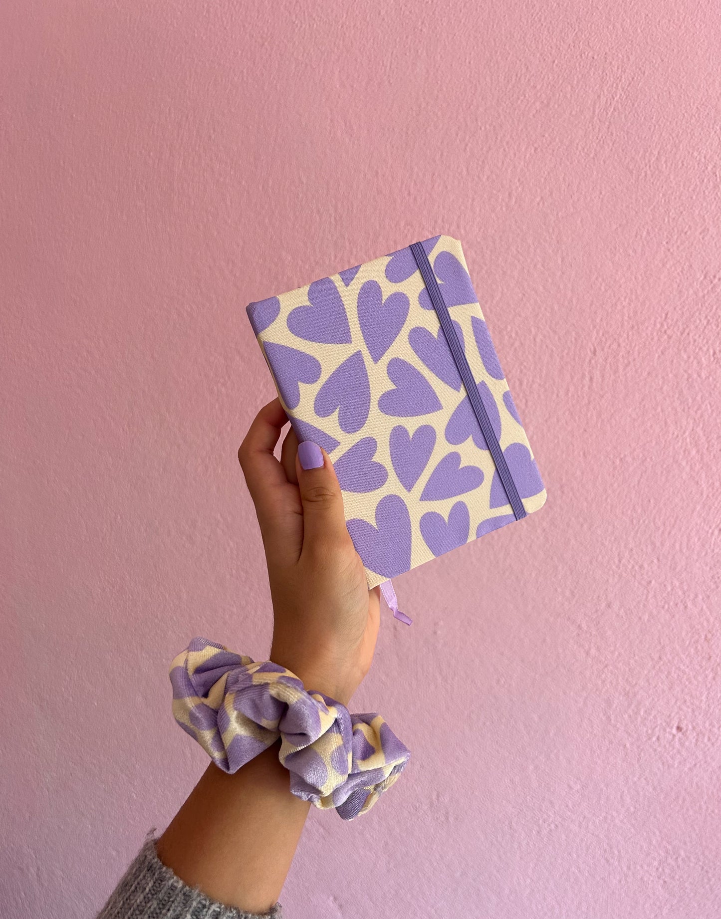 CADERNO FRANCISCA