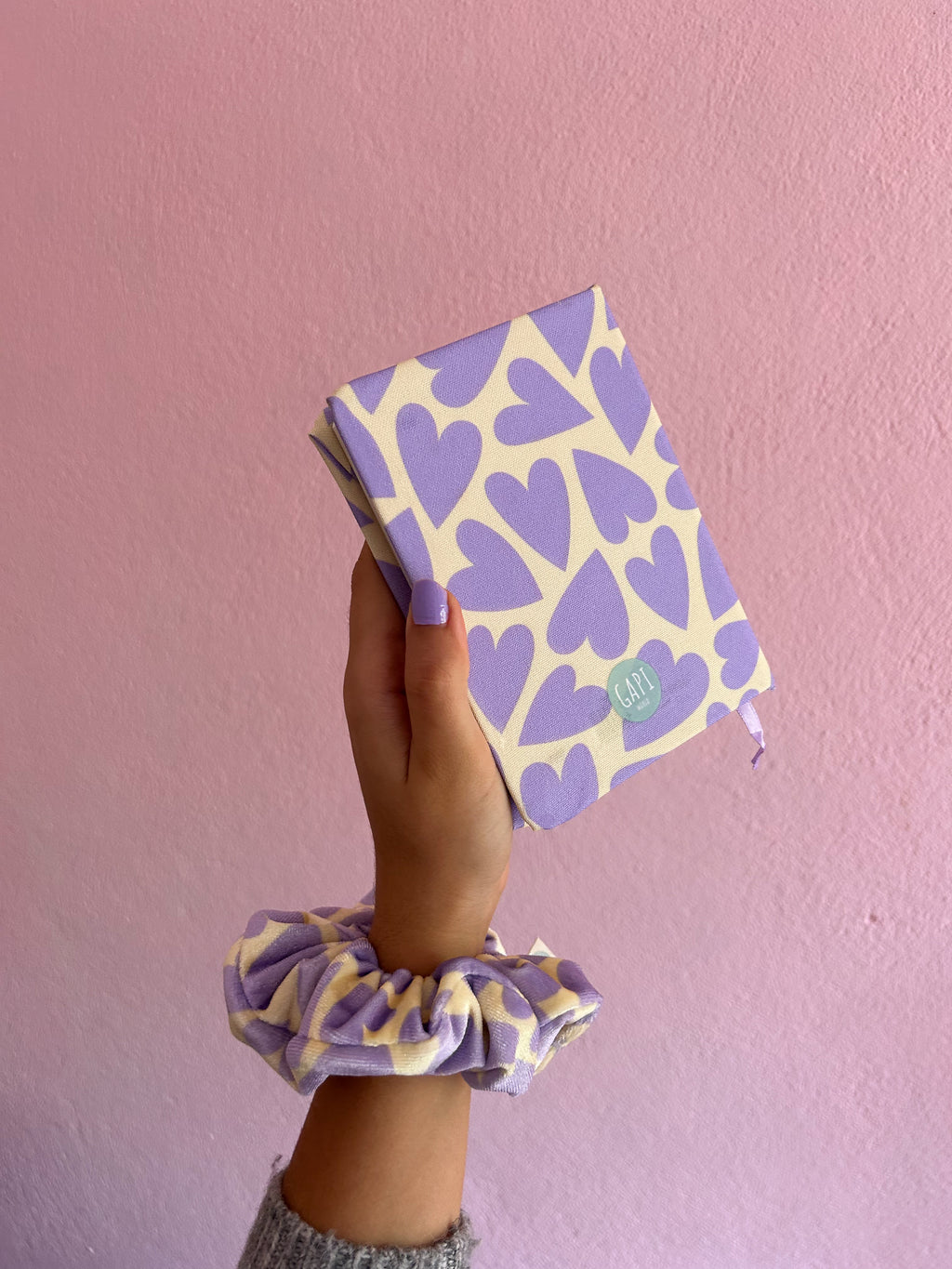 CADERNO FRANCISCA