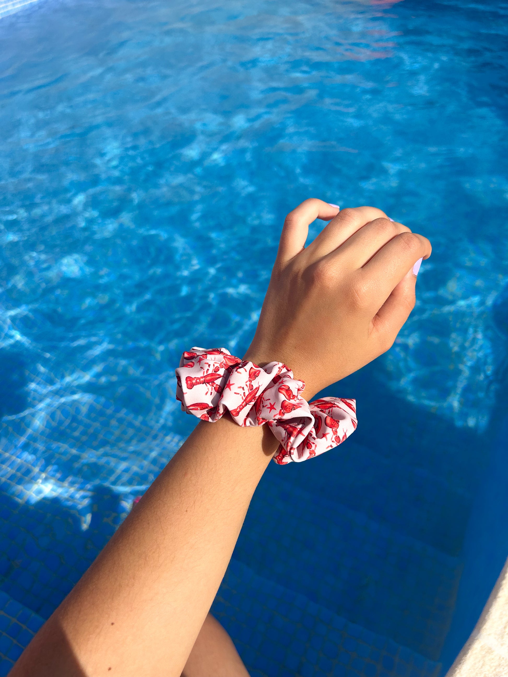 ZIPPER LOBSTER