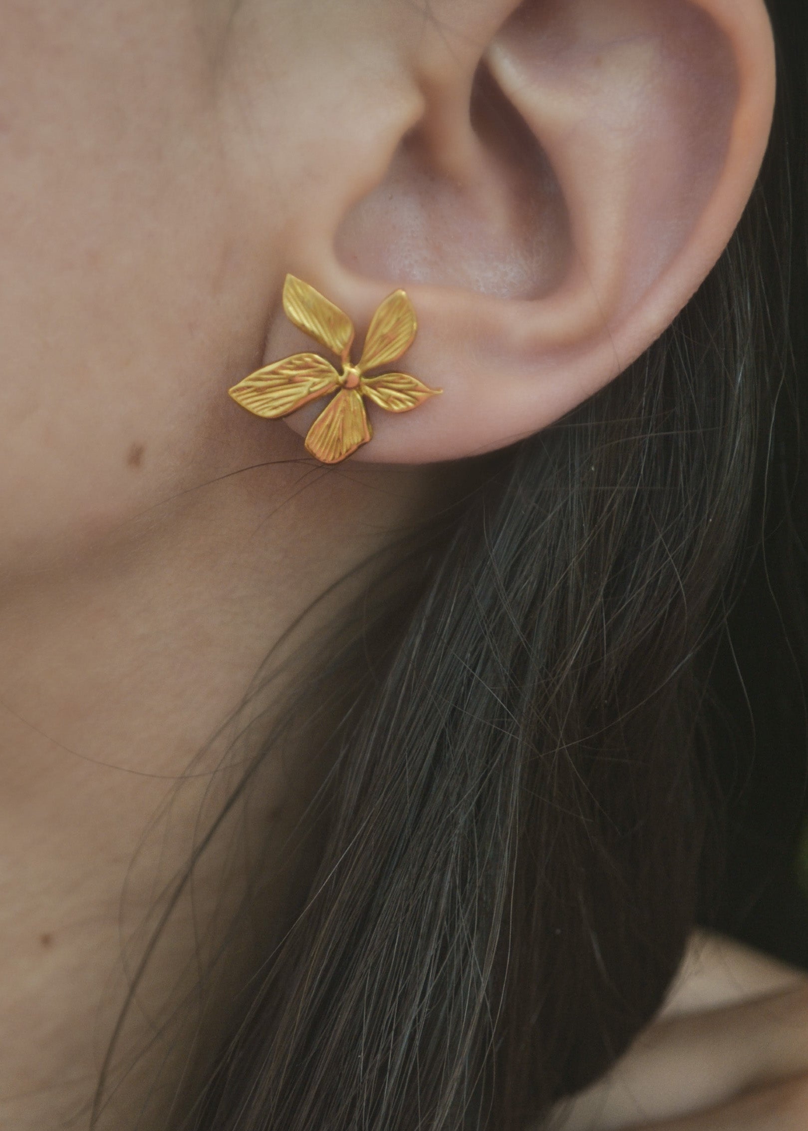 PLUMERIA