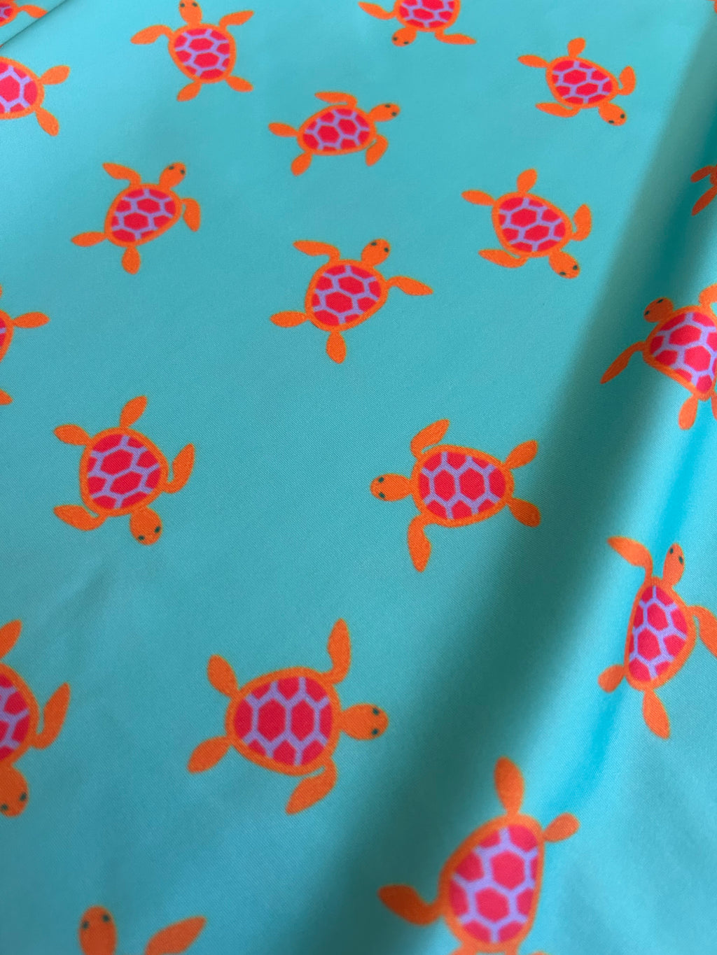 ZIPPER TURTLE