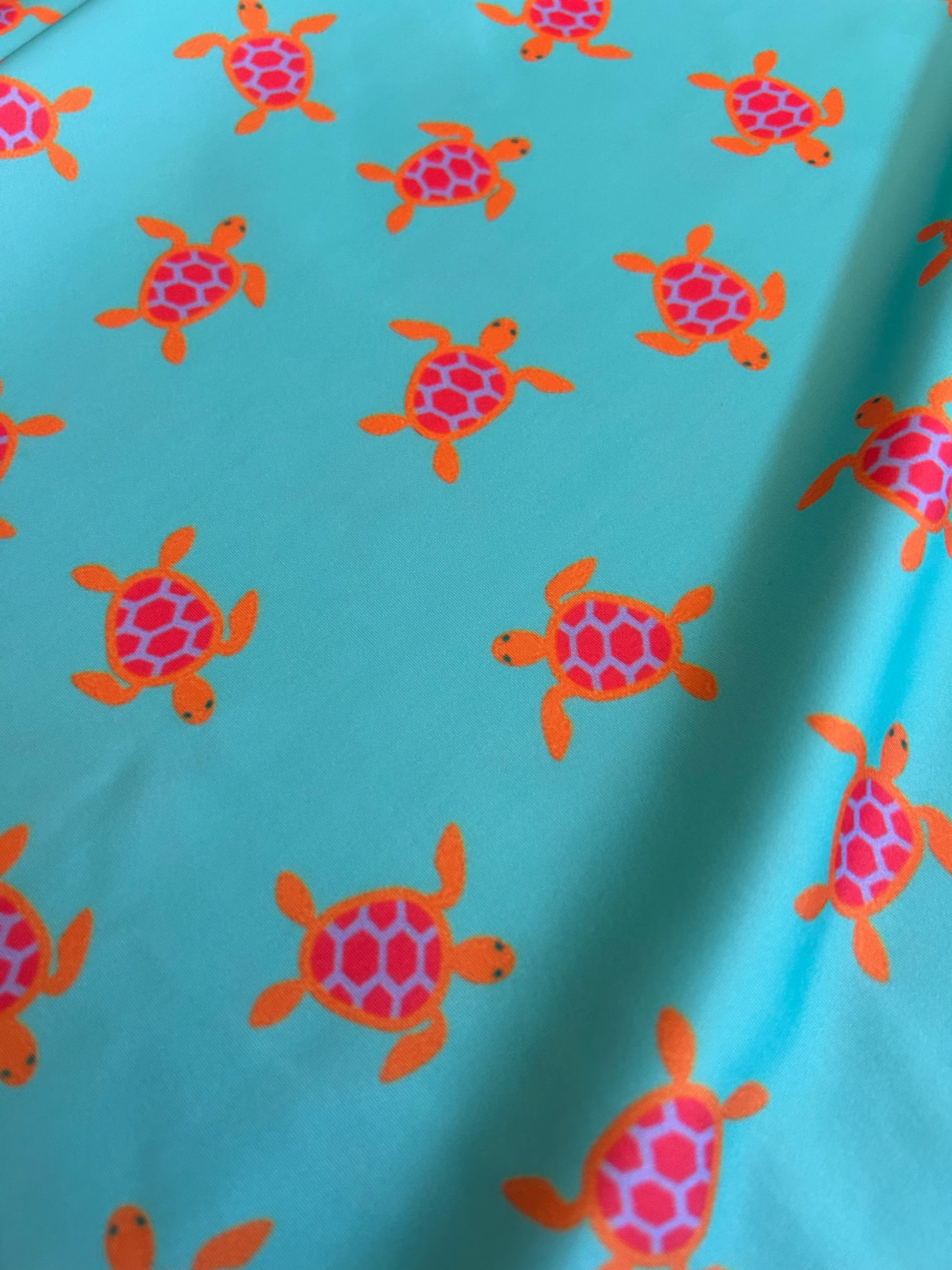 ZIPPER TURTLE
