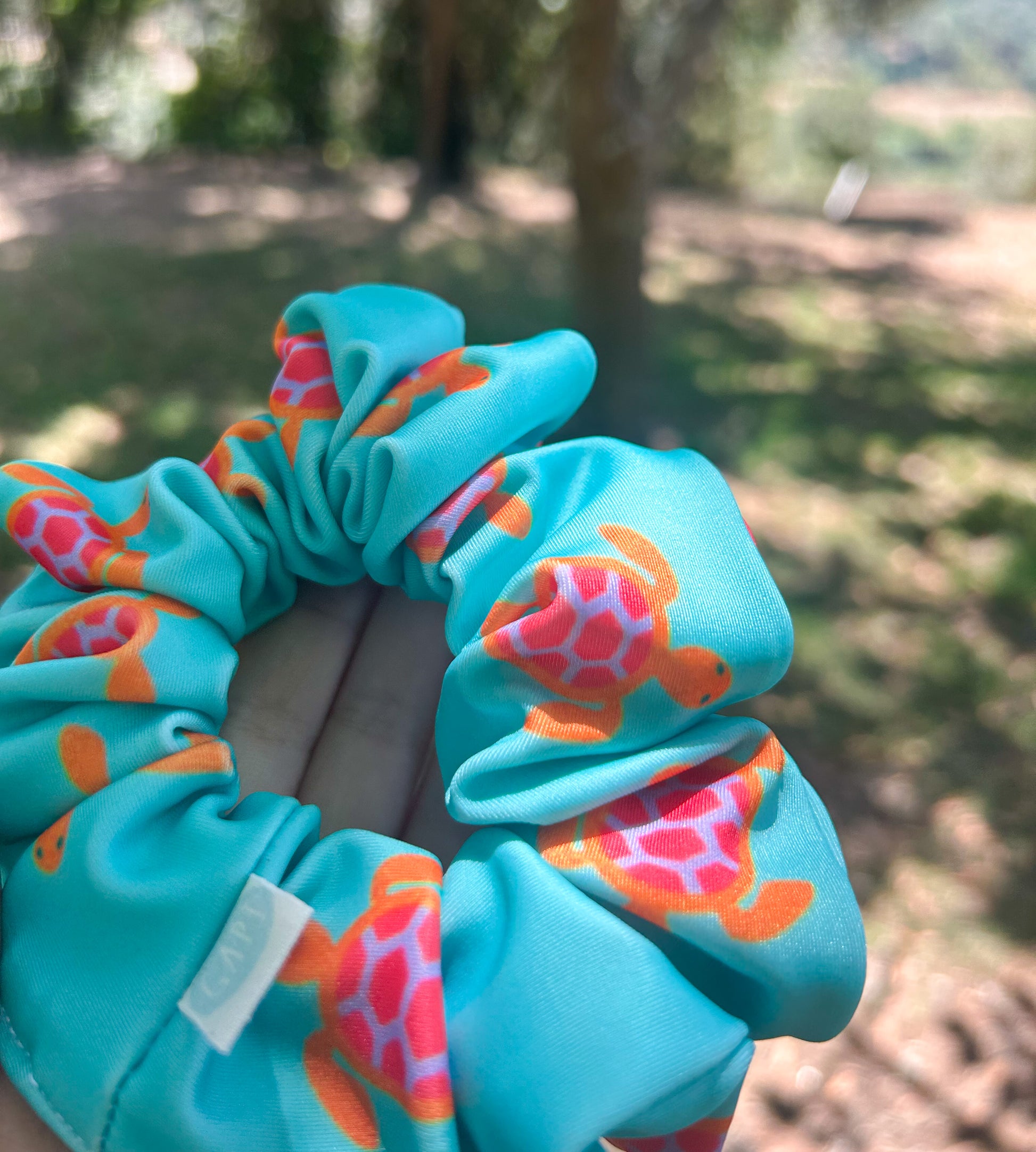 ZIPPER TURTLE