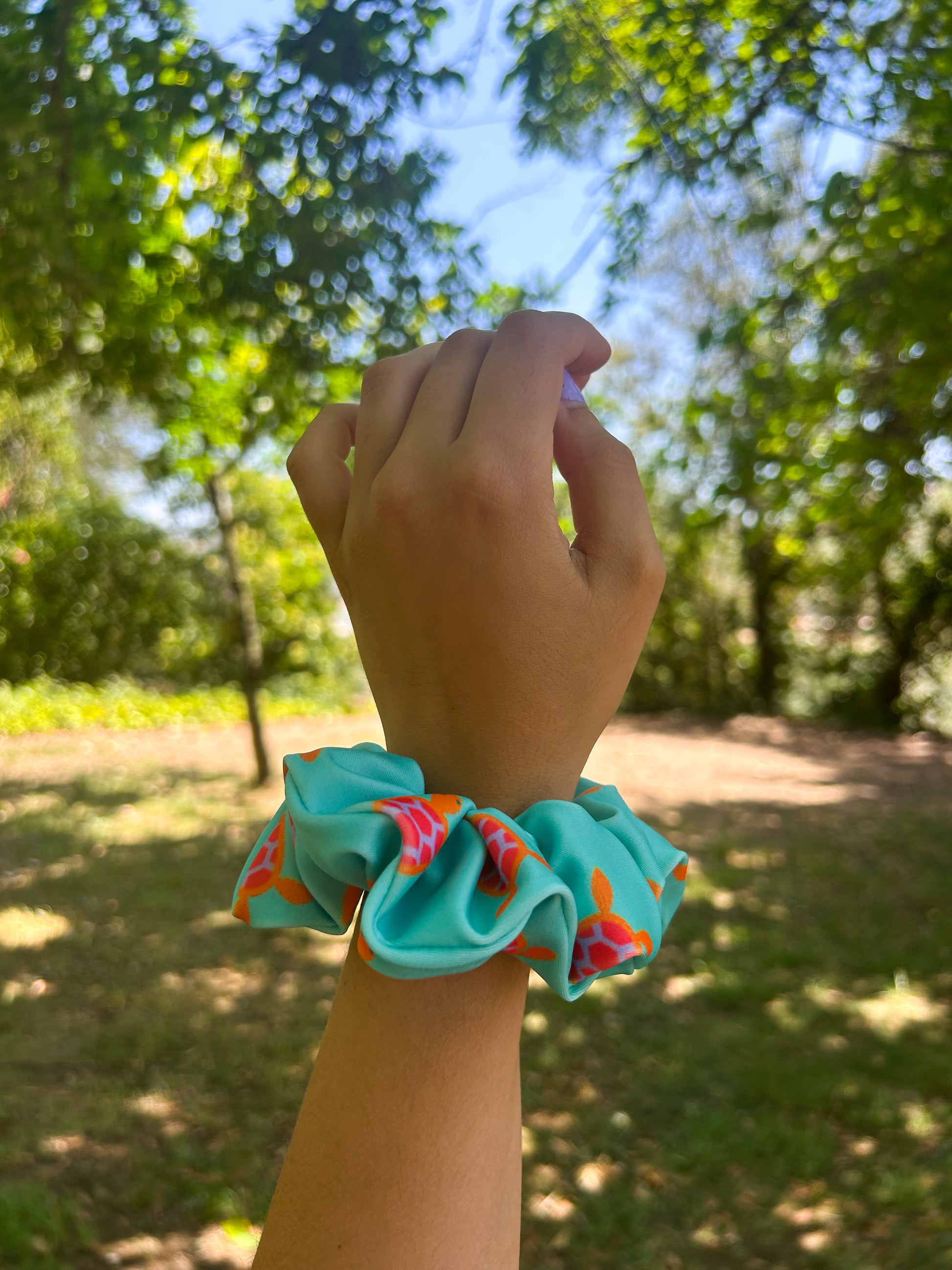 ZIPPER TURTLE