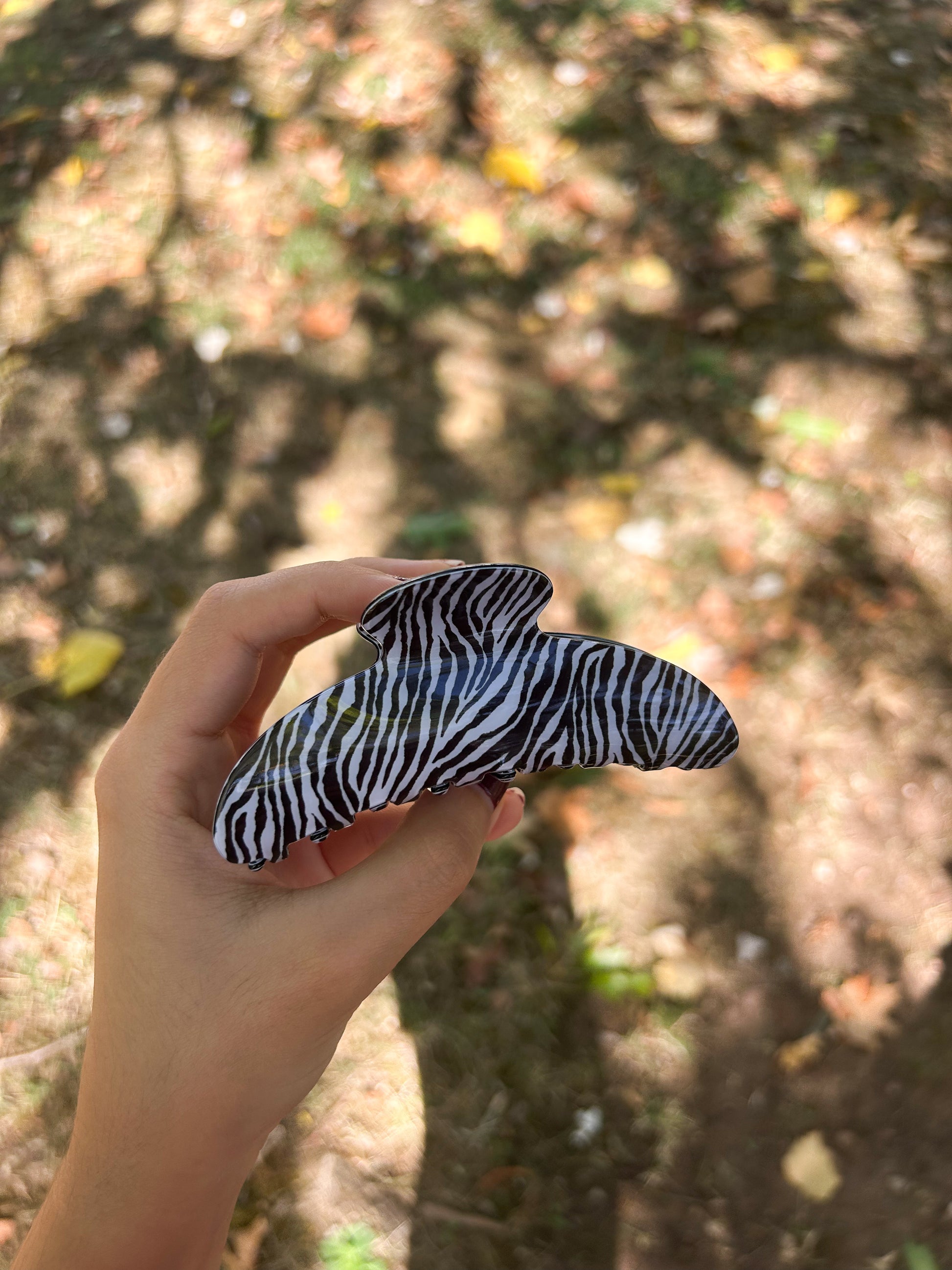 ZEBRA CLIP