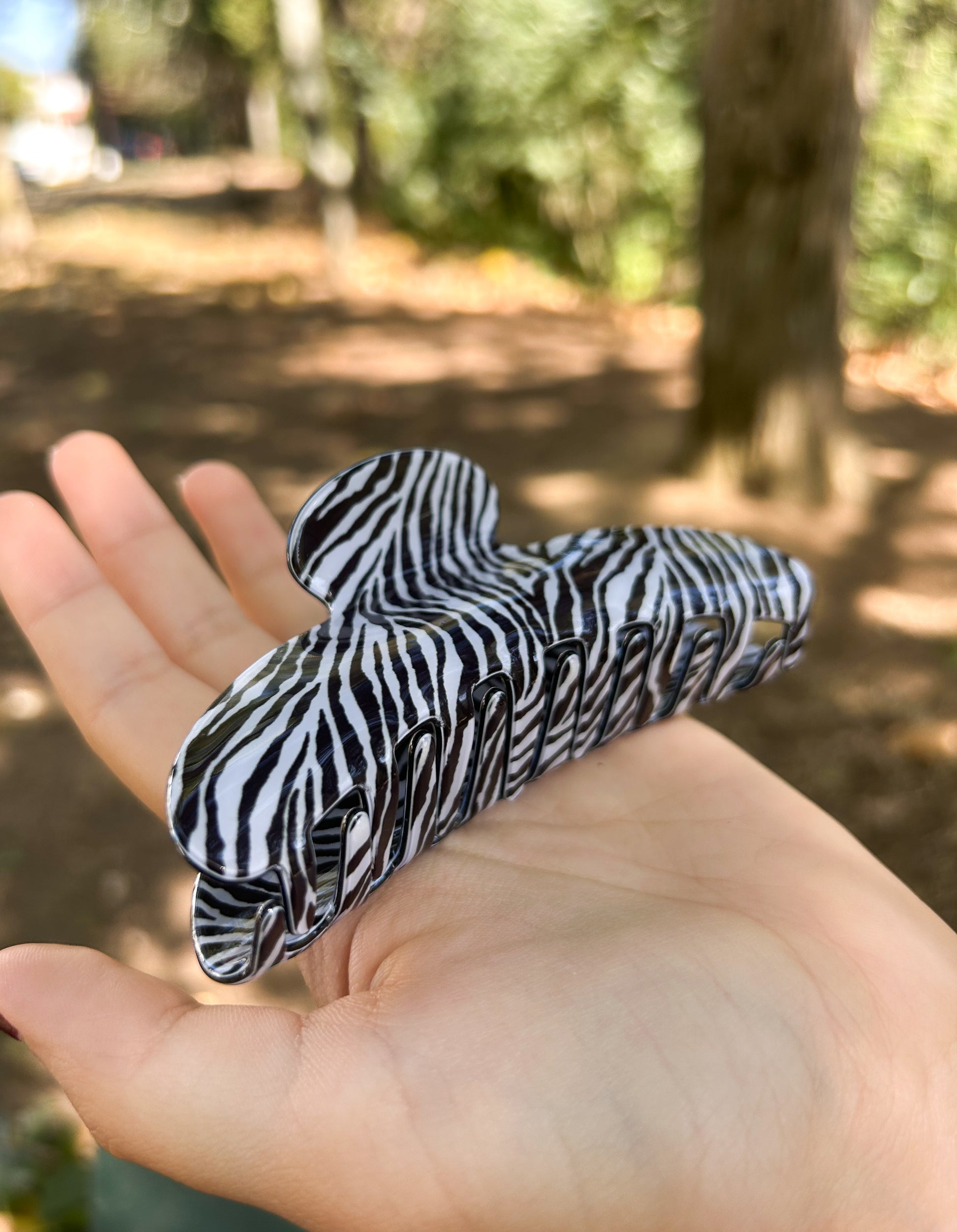 ZEBRA CLIP