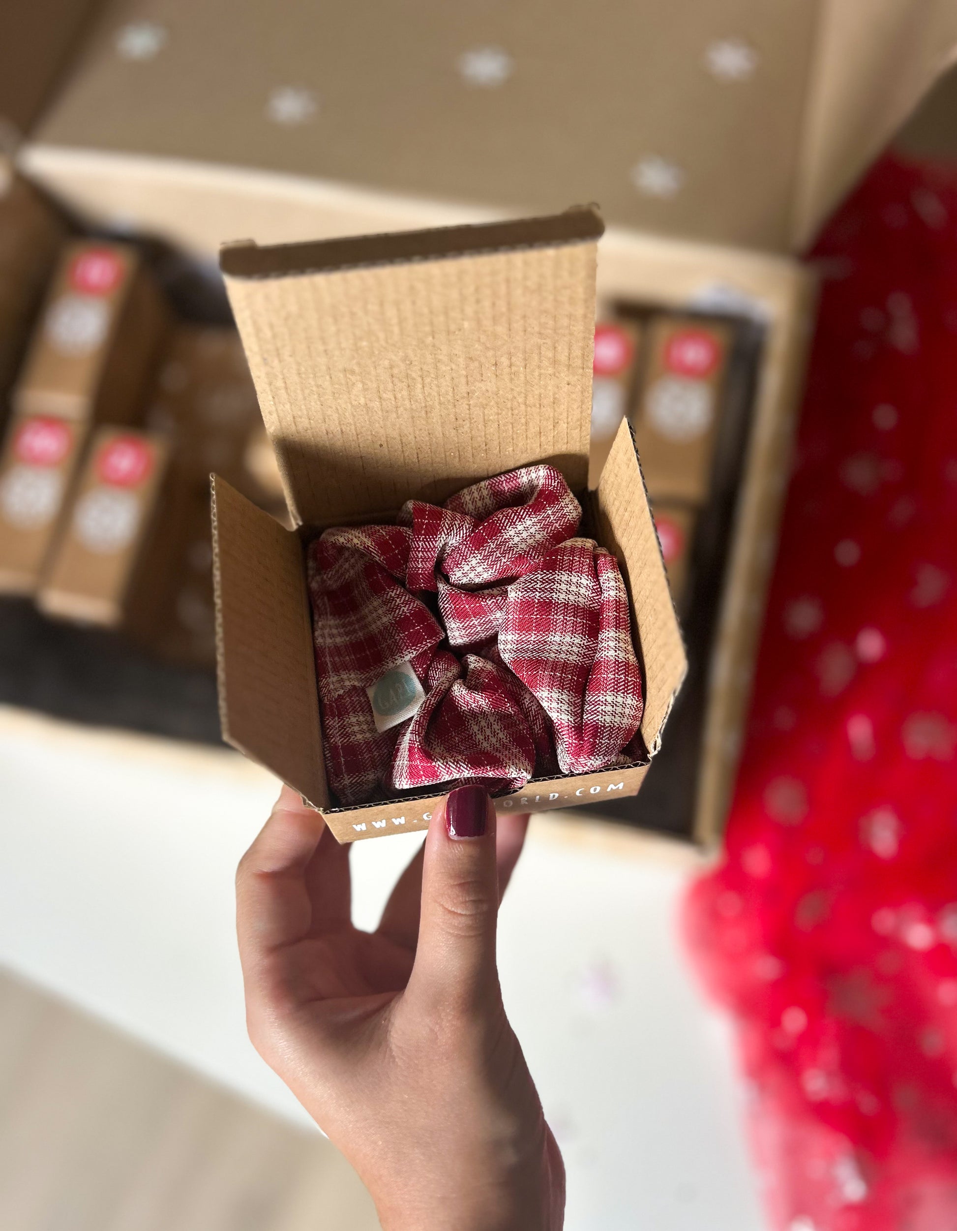 CALENDÁRIO DO ADVENTO