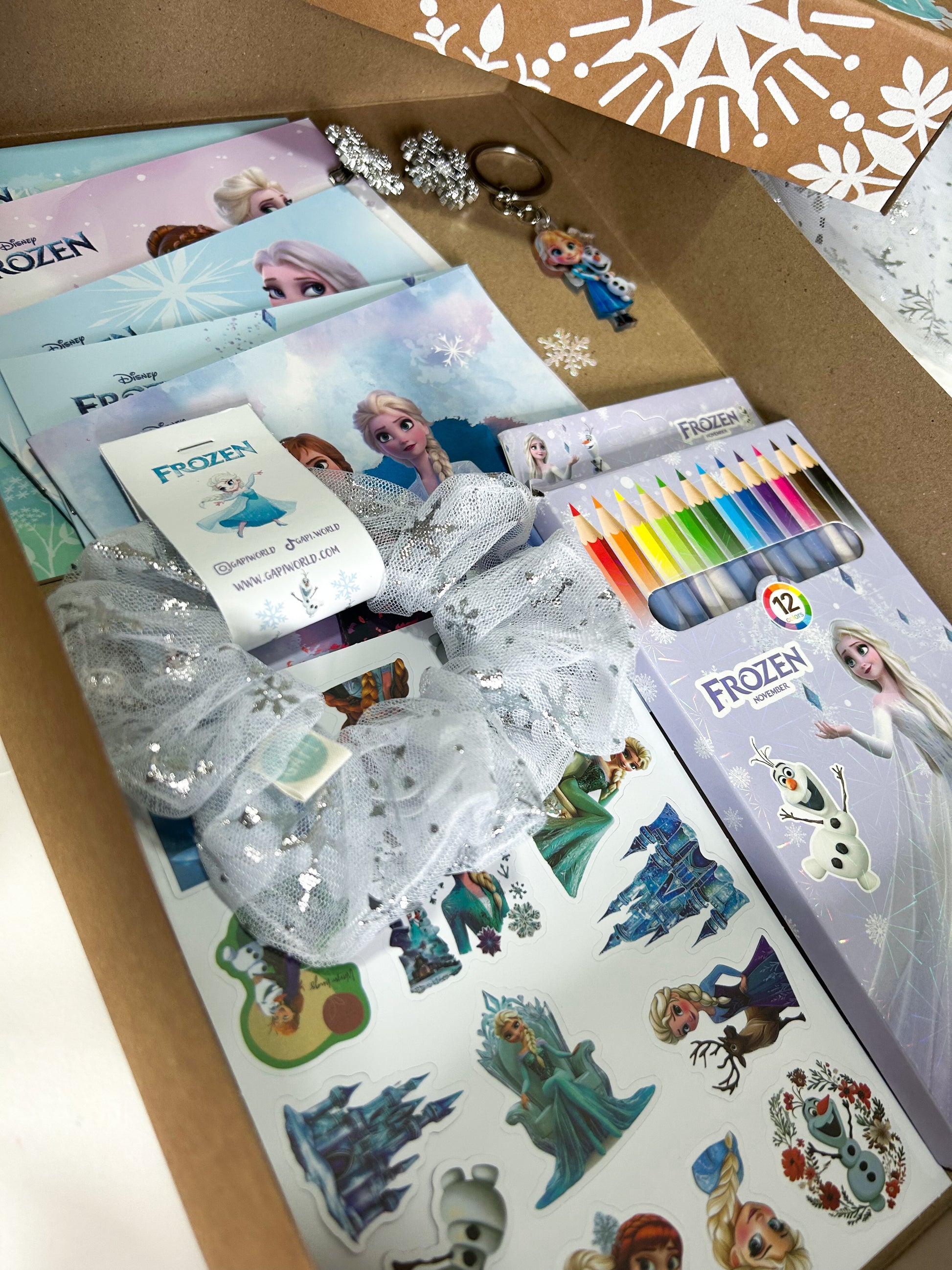 FROZEN GIFT BOX