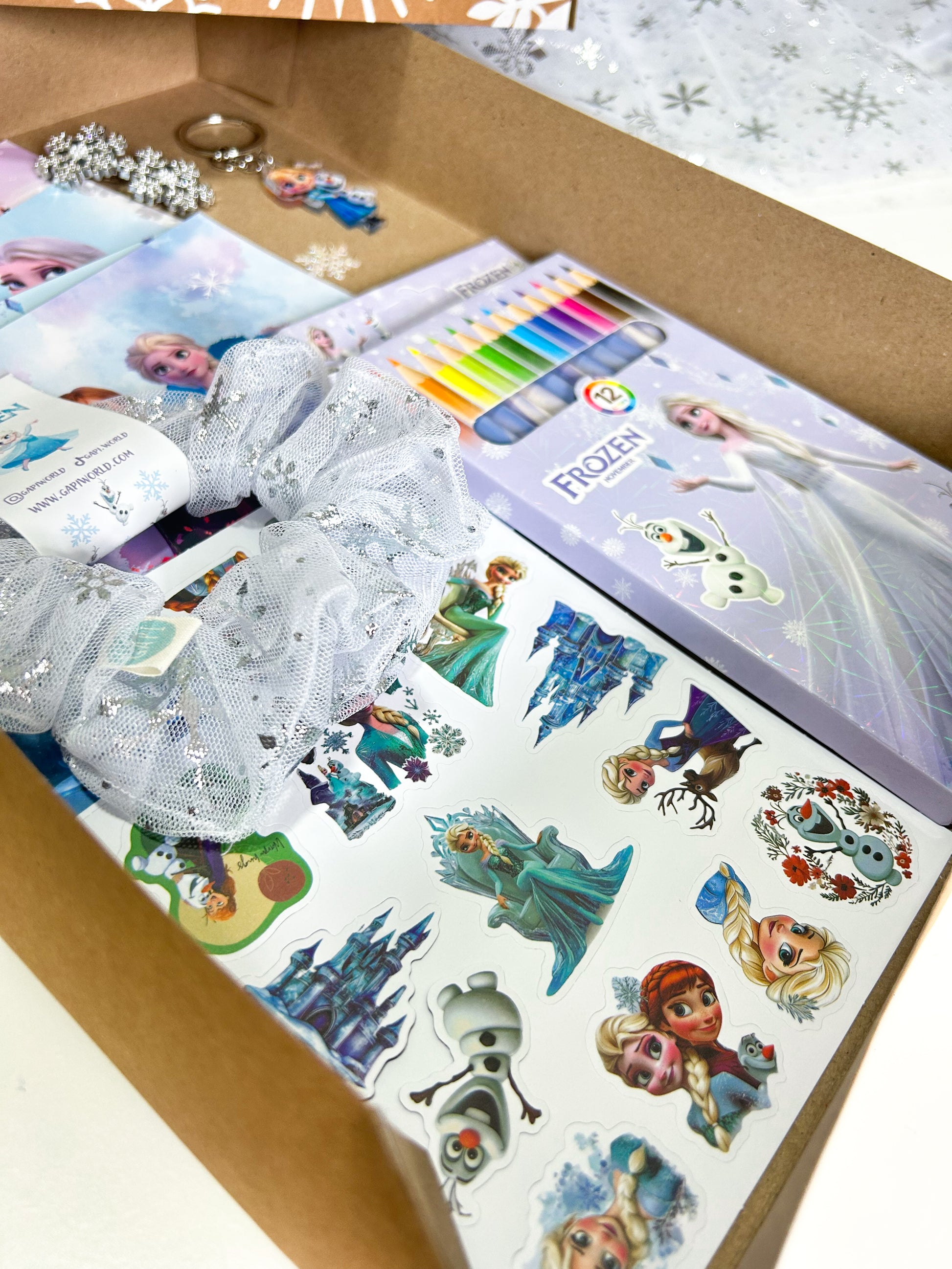 FROZEN GIFT BOX
