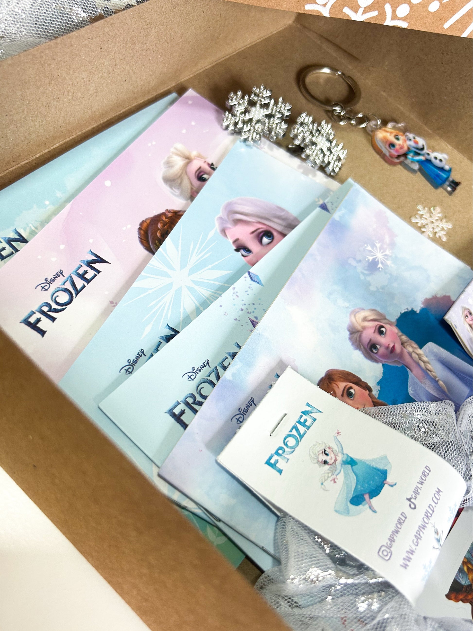 FROZEN GIFT BOX