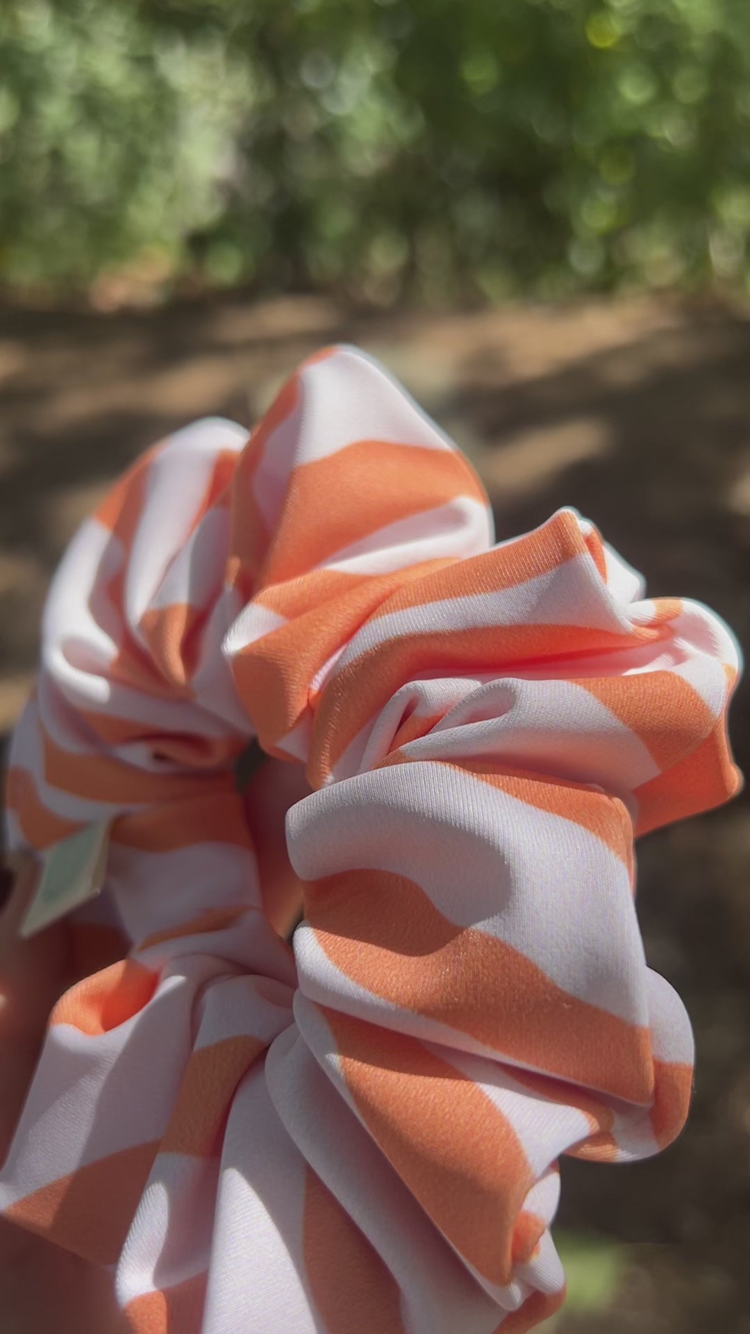 SUNNY ZEBRA